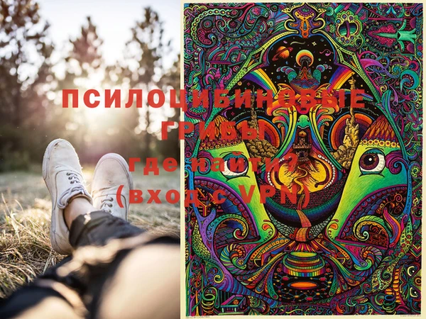 ешки Аркадак