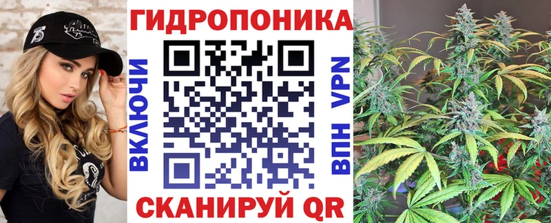 как найти закладки mega ссылка Шишки марихуана VHQ Новодвинск